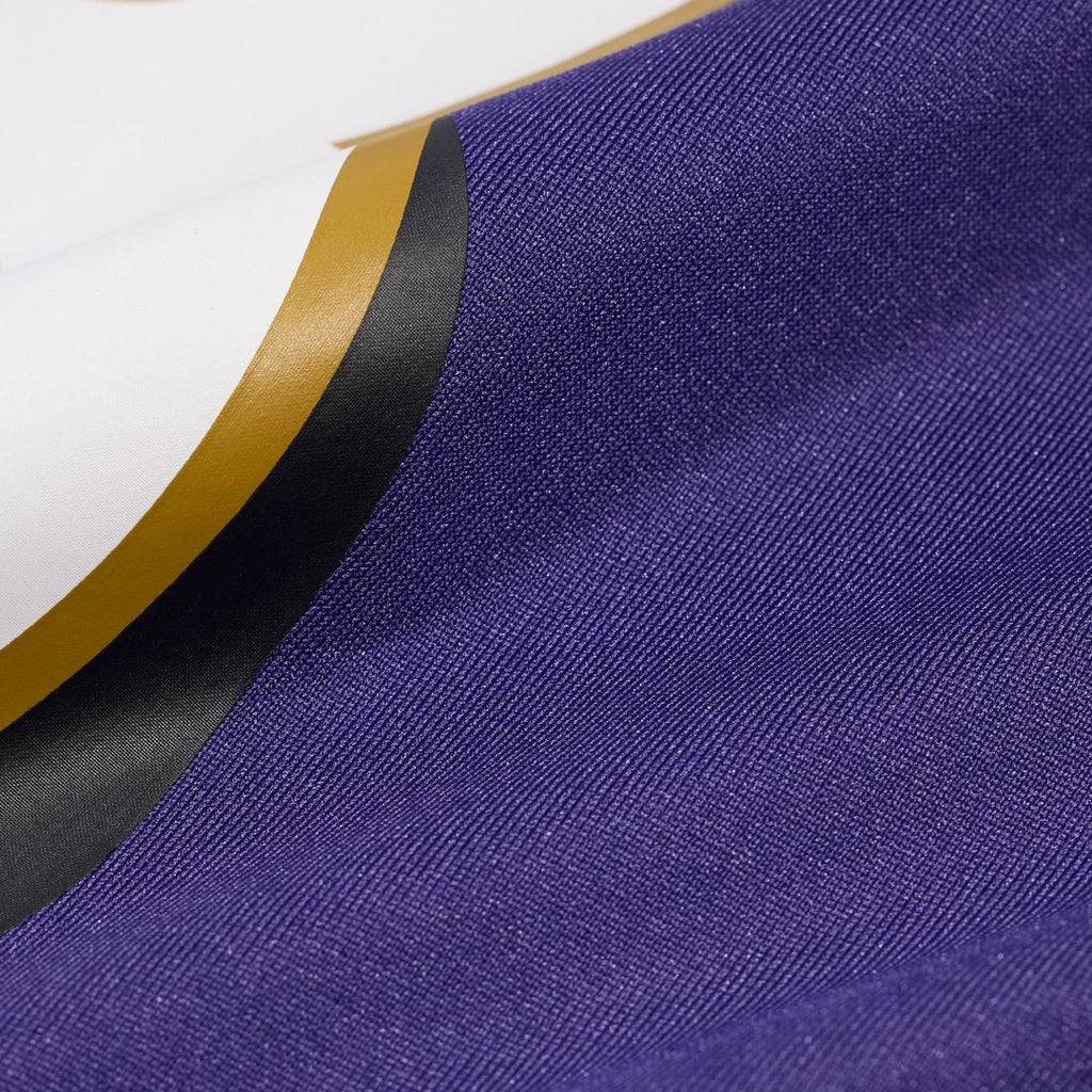 Baltimore Ravens Tony Siragusa Nike Purple Game Retired Player Jersey - product image 5