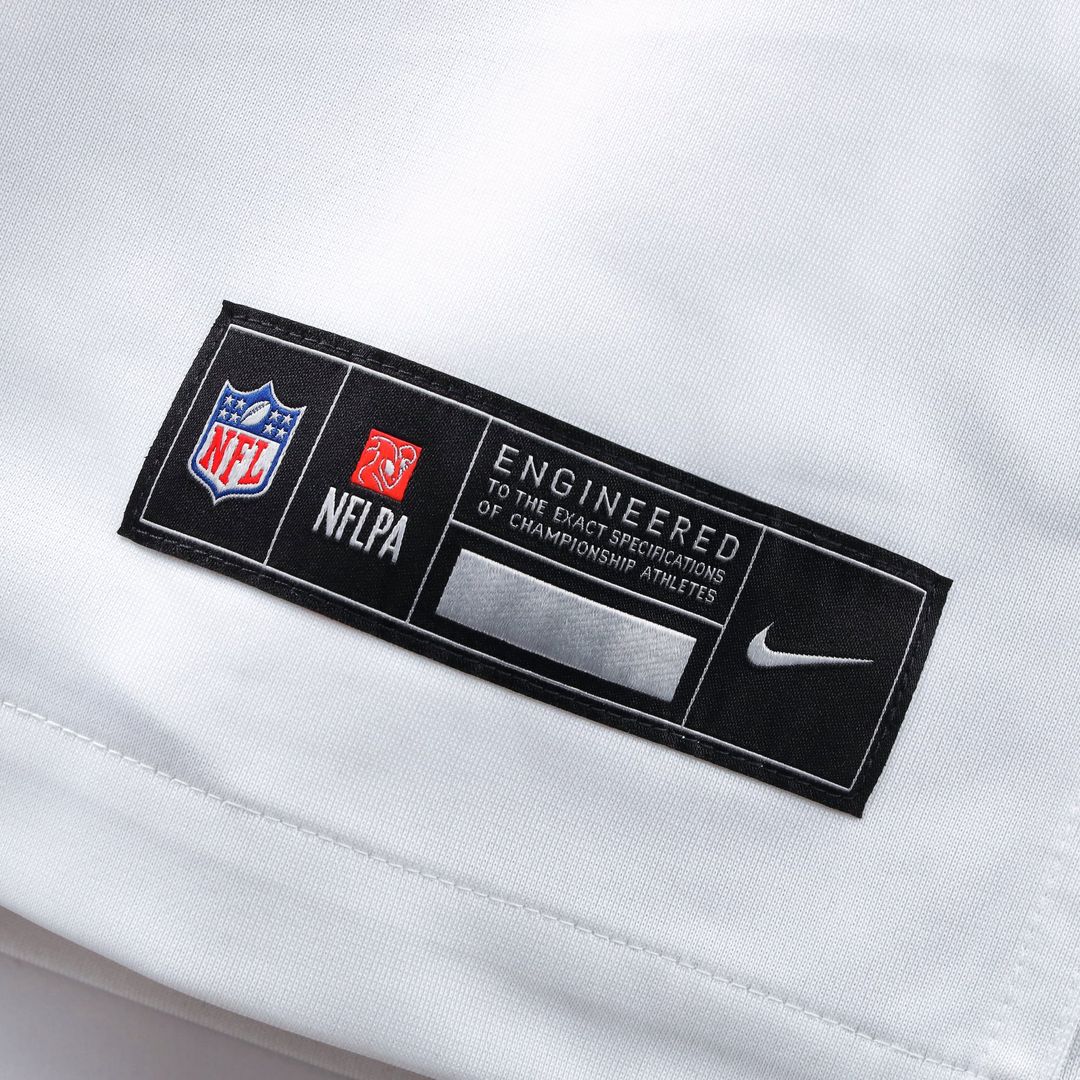 Washington Commanders Sean Taylor Nike Black Hail Raiser Alternate Retired Player Game Jersey - product image 27